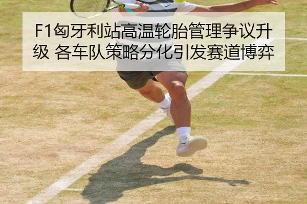 F1匈牙利站高温轮胎管理争议升级 各车队策略分化引发赛道博弈